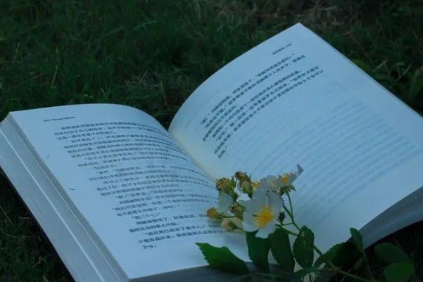 终有一天馥郁传香 你我共勉什么意思