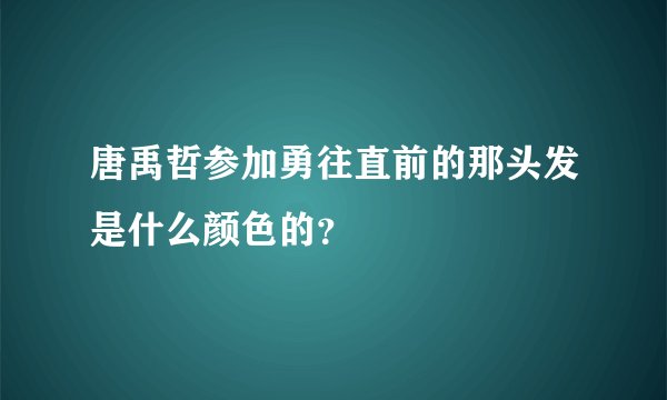 唐禹哲参加勇往直前的那头发是什么颜色的？