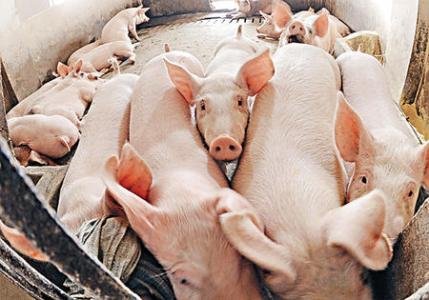 软性大宗商品价格普遍上涨,上涨之后有什么后果