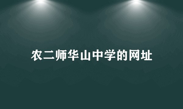 农二师华山中学的网址