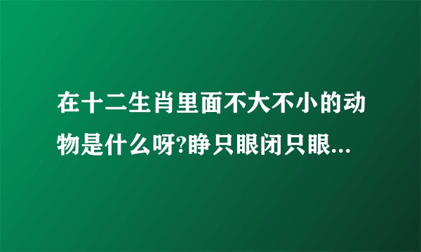 在十二生肖里面不大不小的动物是什么呀?睁只眼闭只眼的生肖是什么急
