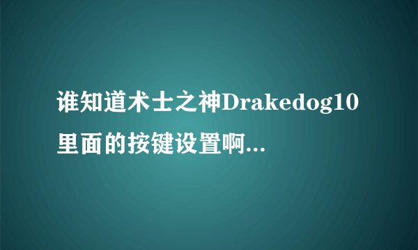 谁知道术士之神Drakedog10里面的按键设置啊 还有宏 谢谢各位大大