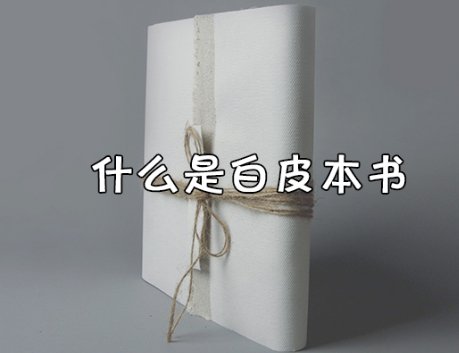 什么叫白皮本书