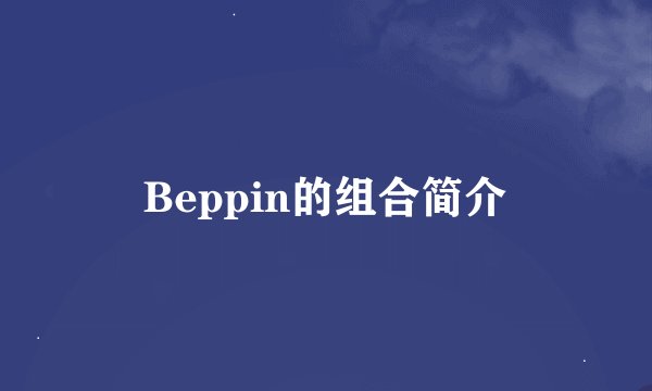 Beppin的组合简介