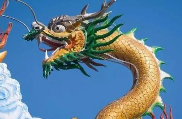 闷声不响什么动物