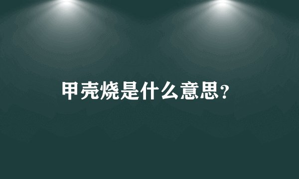 甲壳烧是什么意思？