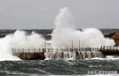 上海黄浦江上全部轮渡停航,停航的原因是什么?