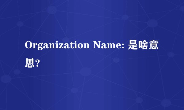 Organization Name: 是啥意思?
