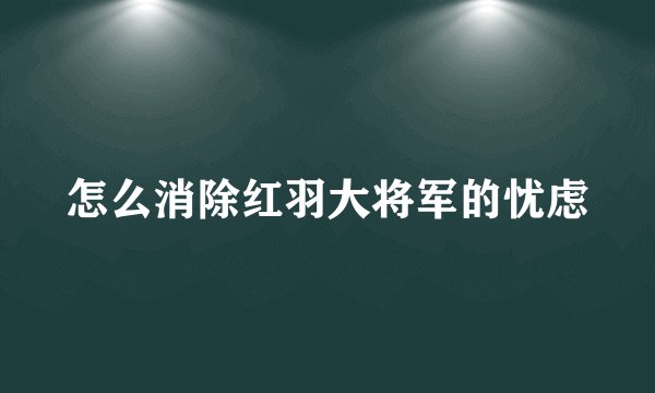 怎么消除红羽大将军的忧虑