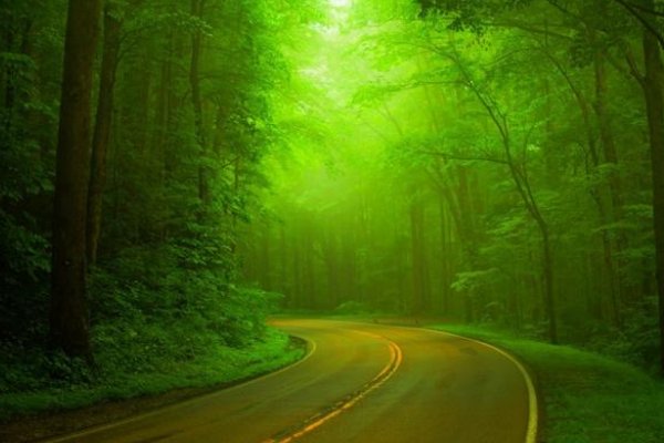 油画作品双黄蛋之二怎么画