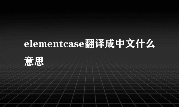 elementcase翻译成中文什么意思