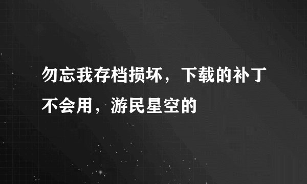 勿忘我存档损坏，下载的补丁不会用，游民星空的