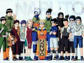 火影忍者羁绊5.7那些单家，妙木山，鱼什么的位置到底是什么意思啊，难道羁绊也有分位置的？