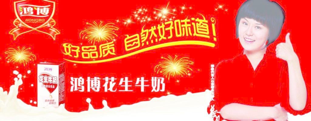 鸿博V8的基本参数