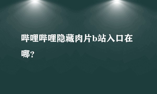 哔哩哔哩隐藏肉片b站入口在哪？