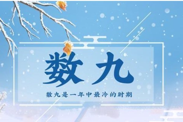 今天第几九了数九第几天了