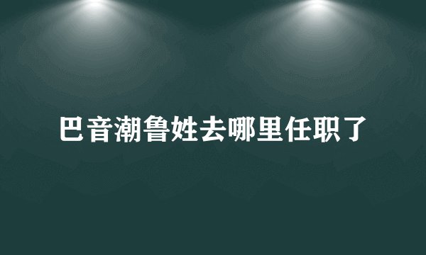 巴音潮鲁姓去哪里任职了