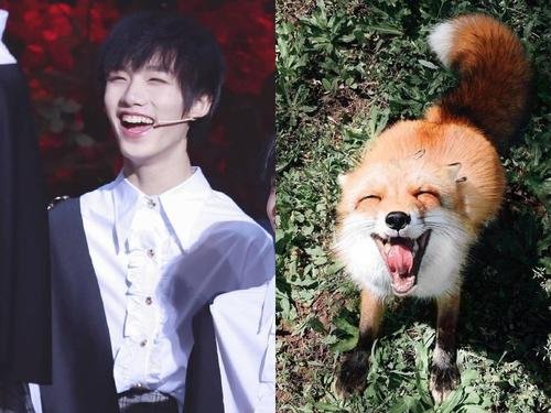 丁程鑫在哪里自曝小粽子名字?