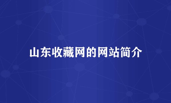 山东收藏网的网站简介