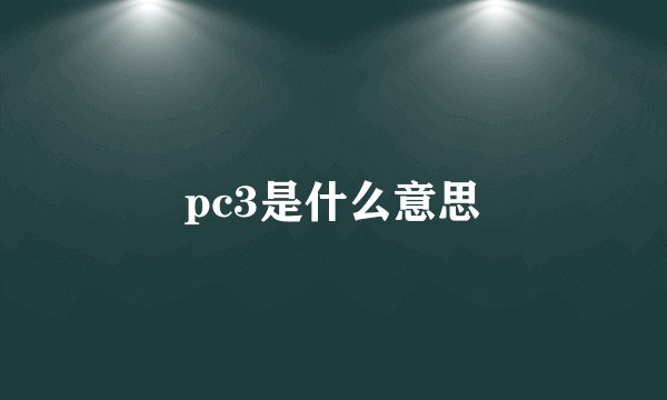 pc3是什么意思