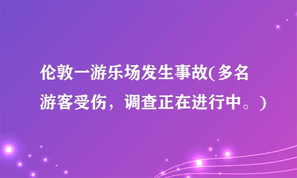 伦敦一游乐场发生事故(多名游客受伤，调查正在进行中。)