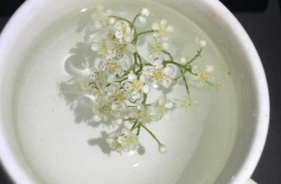 石楠花茶是什么意思啊网络用语