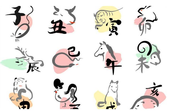 时断时续打一动物生肖