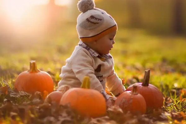 人留后代草留根的顺口溜