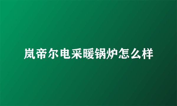 岚帝尔电采暖锅炉怎么样