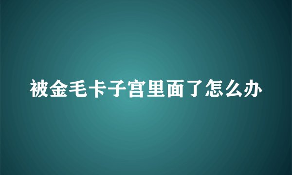 被金毛卡子宫里面了怎么办