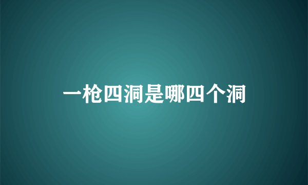 一枪四洞是哪四个洞