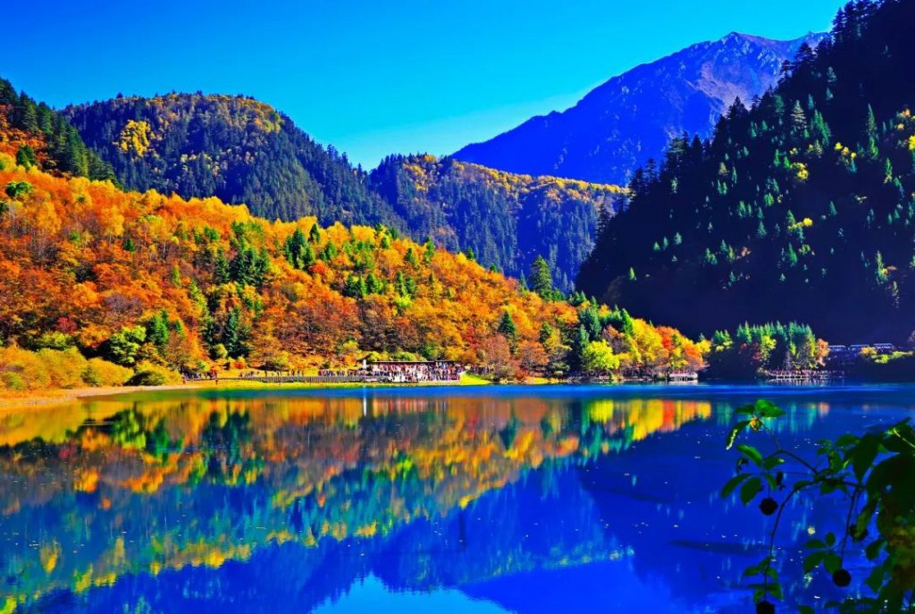 国庆假期，九寨沟天还没亮就开始排队了，现场的情况如何？