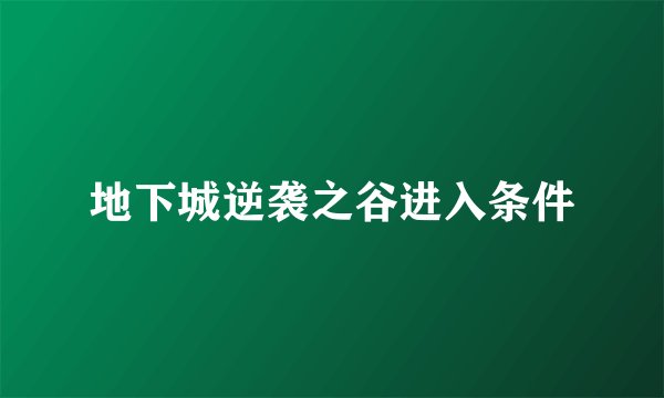 地下城逆袭之谷进入条件