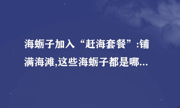 海蛎子加入“赶海套餐”:铺满海滩,这些海蛎子都是哪里来的?_百度知 ...