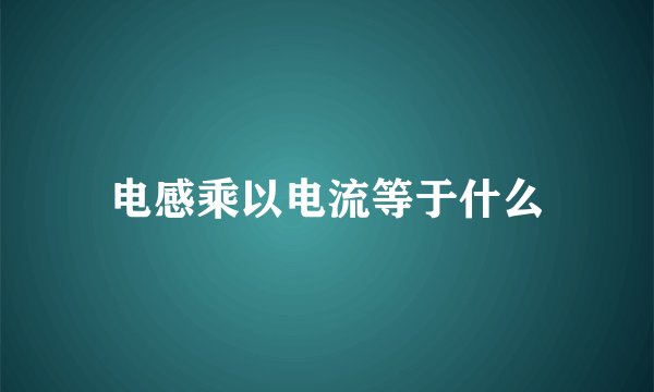 电感乘以电流等于什么
