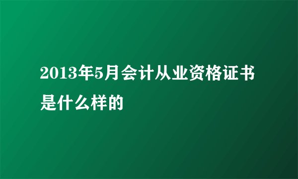 2013年5月会计从业资格证书是什么样的