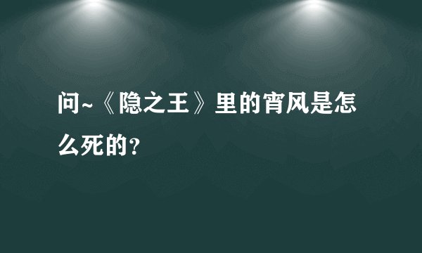 问~《隐之王》里的宵风是怎么死的？