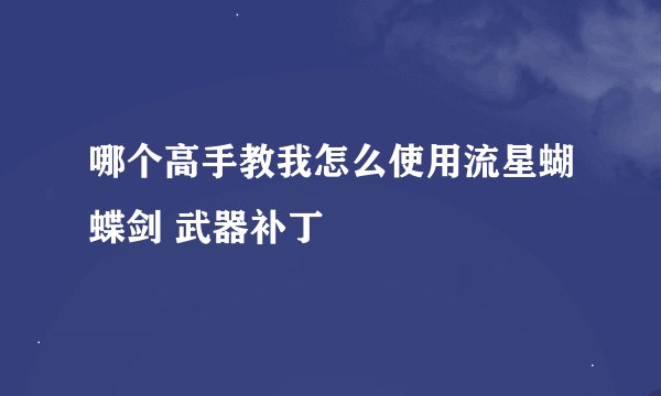哪个高手教我怎么使用流星蝴蝶剑 武器补丁