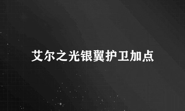 艾尔之光银翼护卫加点