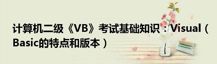 计算机二级VB考试基础知识VisualBasic的特点和版本