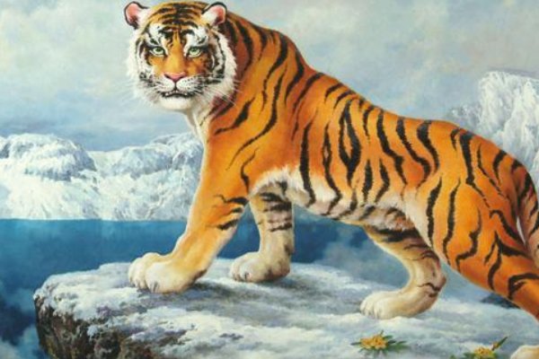 块儿八毛猜一生肖