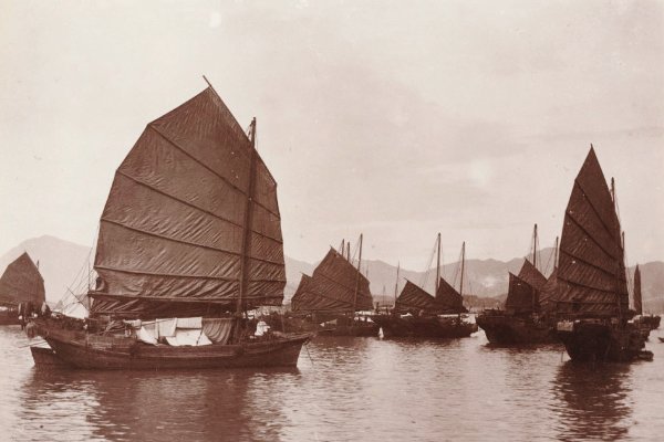 南北通商指什么动物