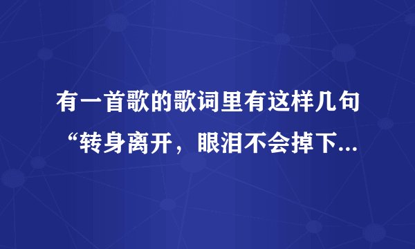 有一首歌的歌词里有这样几句“转身离开，眼泪不会掉下来，谁又会为了谁哭得醒不来”谁知道是什么歌，哪部