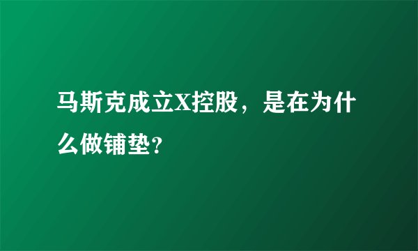 马斯克成立X控股，是在为什么做铺垫？