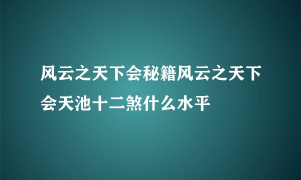 风云之天下会秘籍风云之天下会天池十二煞什么水平