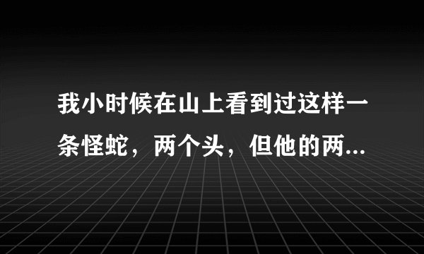 我小时候在山上看到过这样一条怪蛇，两个头，但他的两个头不是长在一起，是一前一后，就是说没有尾巴，尾