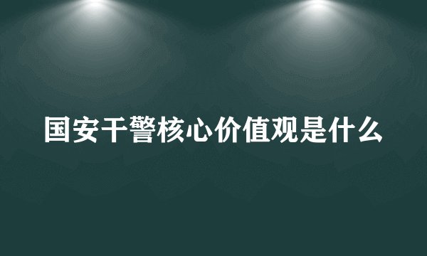 国安干警核心价值观是什么