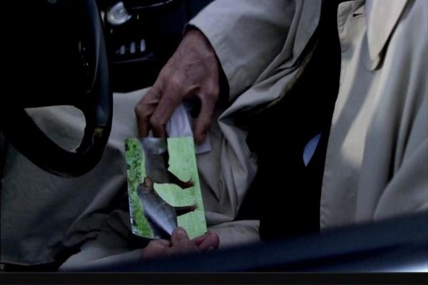 电影《人体蜈蚣1》好看吗?