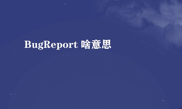 BugReport 啥意思