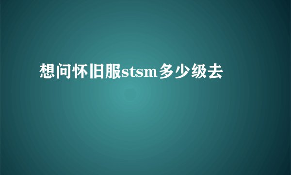 想问怀旧服stsm多少级去
